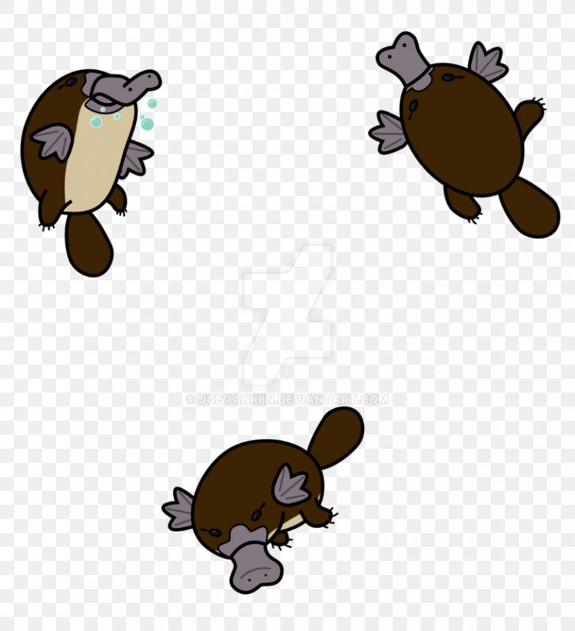 Platypus Drawing Beaver Art Clip Art, PNG, 853x937px, Platypus, Art, Beaver, Carnivoran, Cartoon Download Free