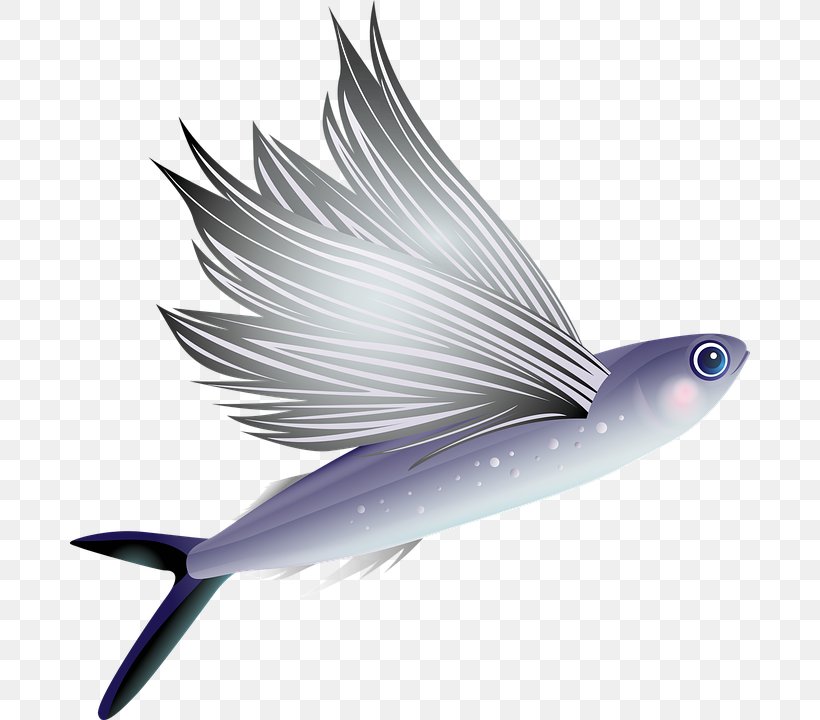 Clip Art Aquarium Image Fish, PNG, 680x720px, Aquarium, Drawing, Exocoetus Volitans, Fin, Fish Download Free