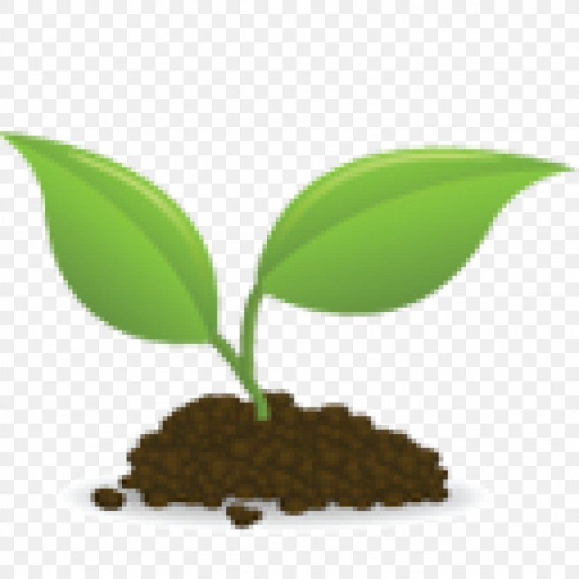 Seedling Sprouting Clip Art, PNG, 1024x1024px, Seedling, Document, Leaf, Plant, Royaltyfree Download Free
