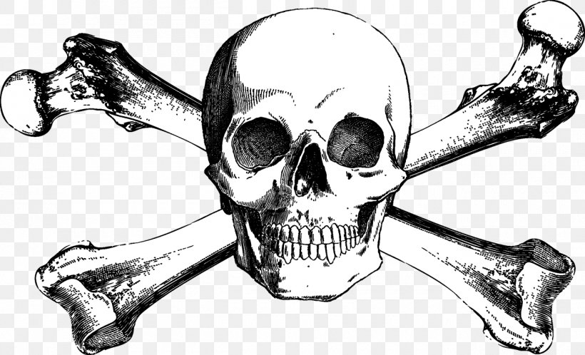 Skull And Bones Skull And Crossbones Drawing, PNG, 1300x791px, Skull And Bones, Art, Automotive Design, Black And White, Bone Download Free