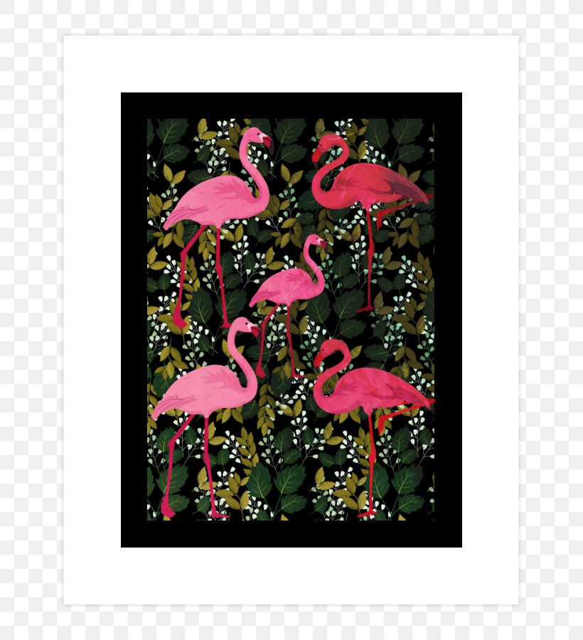 Pink M Petal, PNG, 740x900px, Pink M, Bird, Flamingo, Flora, Flower Download Free