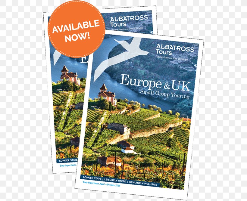 2018 European Tour Tours Package Tour Brochure Escorted Tour, PNG, 538x668px, Tours, Advertising, Brochure, Ecosystem, Escorted Tour Download Free