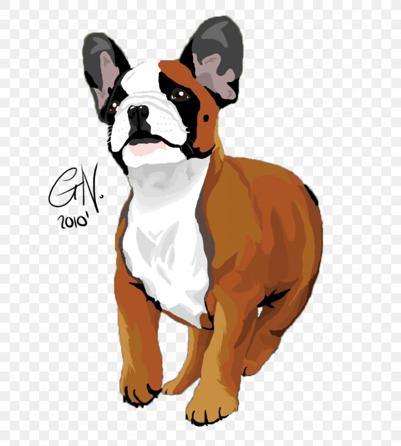 Boxer Dog Breed Non-sporting Group Companion Dog Breed Group (dog), PNG, 899x1000px, Boxer, Animal, Breed, Breed Group Dog, Canidae Download Free