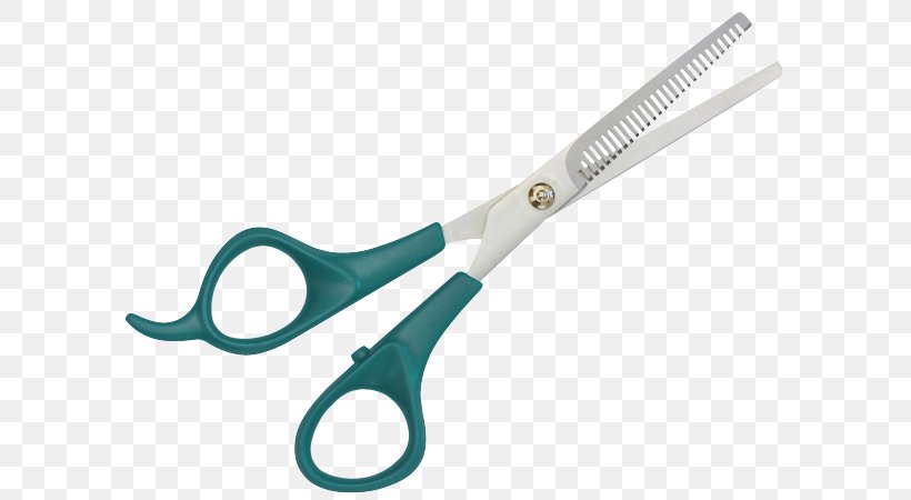 Comb Hair-cutting Shears Scissors Hairdresser, PNG, 600x450px, Comb, Barber, Beauty Parlour, Fashion Designer, Hair Download Free