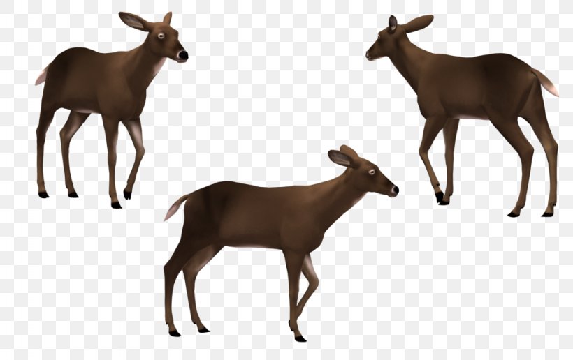 Elk White-tailed Deer Cattle Reindeer, PNG, 1024x645px, Elk, Animal, Animal Figure, Antelope, Antler Download Free