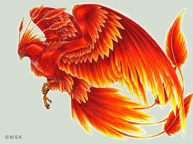 Harry Potter Phoenix Fawkes Bird Tattoo, PNG, 2182x1622px, Harry Potter, Art, Beak, Bird, Chicken Download Free