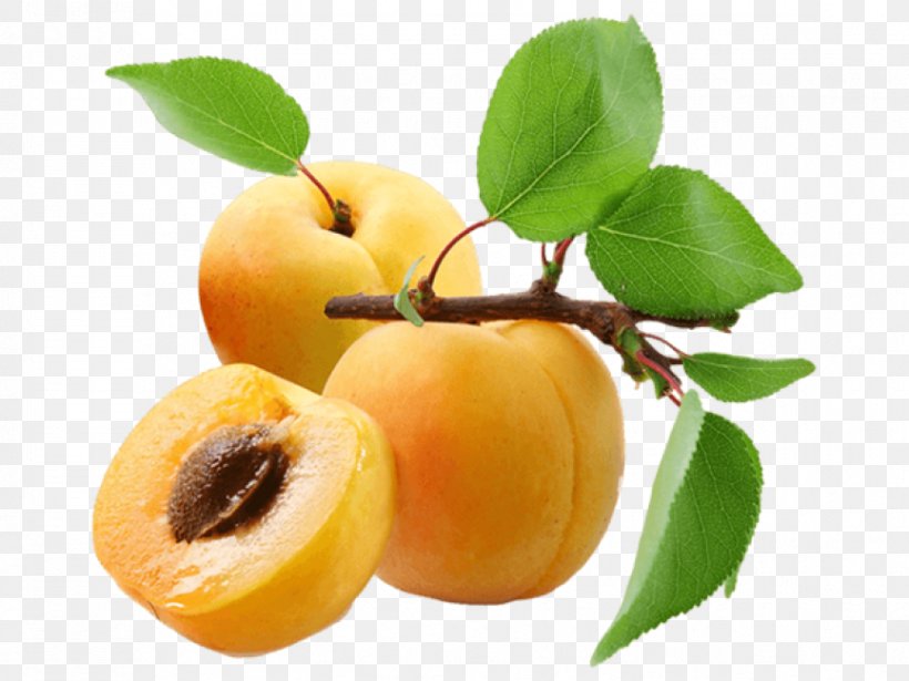 Apricot Clip Art Peach Image, PNG, 866x650px, Apricot, Apricot Jam, Apricot Kernel, Apricot Oil, Dried Apricot Download Free