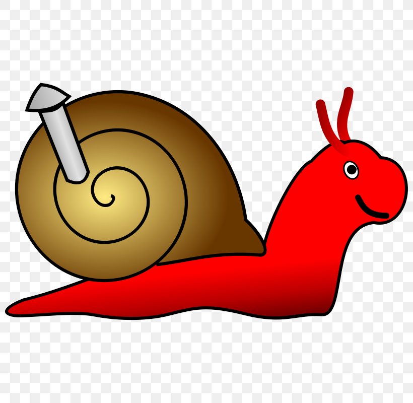 Snail Escargot Gary Gastropod Shell Clip Art, PNG, 800x800px, Snail, Artwork, Conchology, Drawing, Escargot Download Free