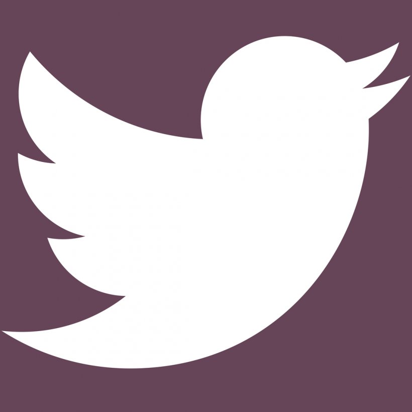 Social Media Logo Instagram Blog, PNG, 1100x1100px, Social Media, Beak, Bird, Blog, Brand Download Free