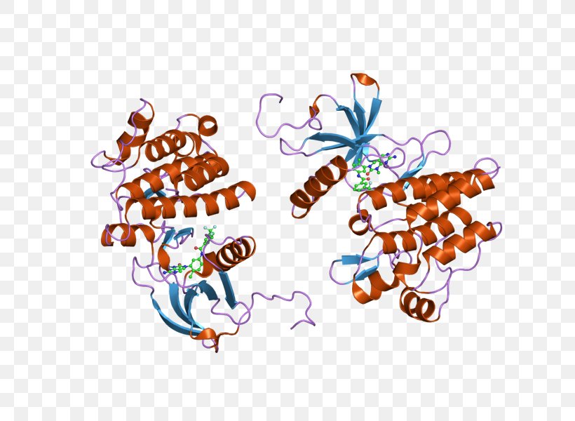 ABL Oncogene Protein Arsenic, PNG, 800x600px, Abl, Arsenic, Art, Food, Gene Download Free