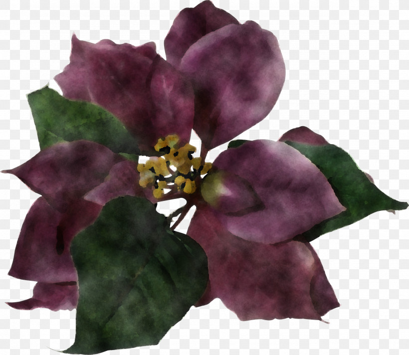 Artificial Flower, PNG, 2556x2220px, Violet, Artificial Flower, Bougainvillea, Cut Flowers, Flower Download Free
