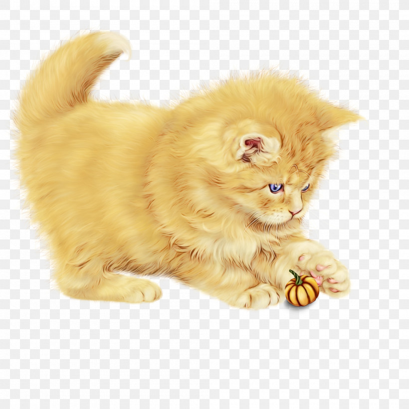 Cat Small To Medium-sized Cats Persian Yellow Whiskers, PNG, 2000x2000px, Watercolor, Cat, Kitten, Paint, Paw Download Free