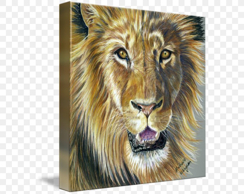 Do You Know About Lions? Big Cat Drawing, PNG, 576x650px, Lion, Art, Big Cat, Big Cats, Carnivoran Download Free