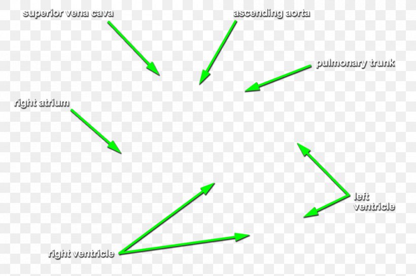 Line Point Angle Product Design Diagram, PNG, 1000x664px, Point, Diagram, Grass, Green, Parallel Download Free