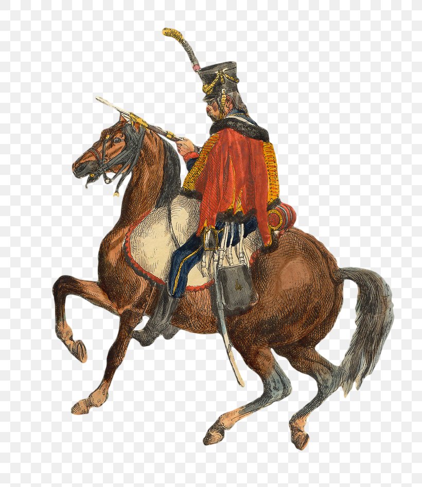 Napoleonic Wars Hussar Soldier Regiment Cavalry, PNG, 765x947px, 4th Hussar Regiment, Napoleonic Wars, Animal Sports, Army Officer, Art Download Free