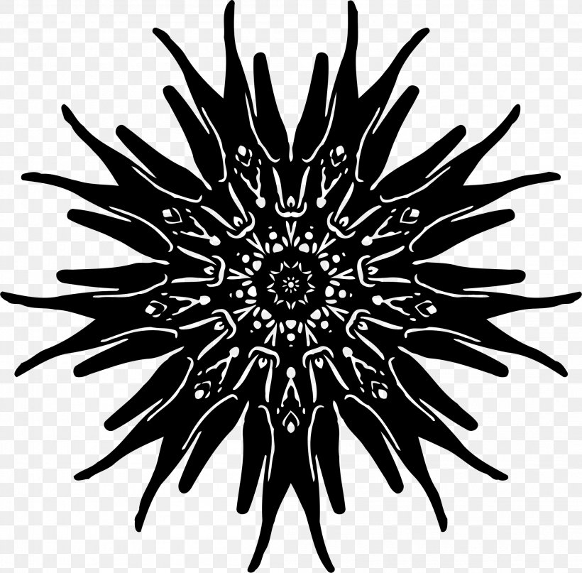 Sea Urchin Drawing Sea Otter Clip Art, PNG, 2106x2074px, Sea Urchin, Art, Black, Black And White, Drawing Download Free