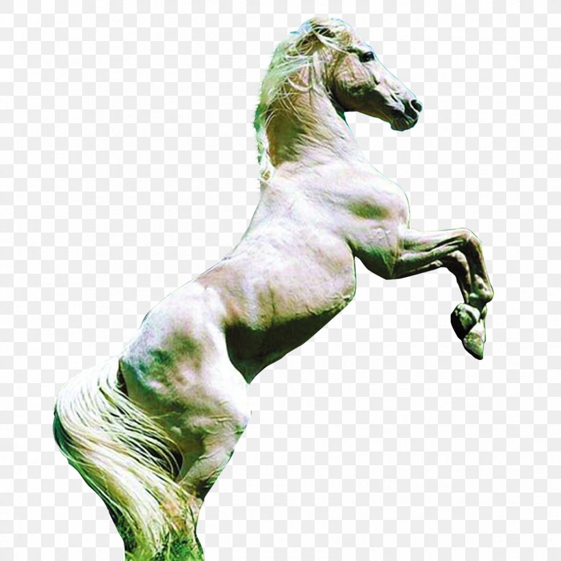 Arabian Horse Friesian Horse American Quarter Horse Pony Mare, PNG, 1701x1701px, Arabian Horse, American Quarter Horse, Animal, Black, Colt Download Free