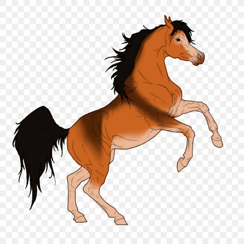 Foal Mane Stallion Mare Colt, PNG, 894x894px, Foal, Bridle, Cartoon, Colt, Fauna Download Free