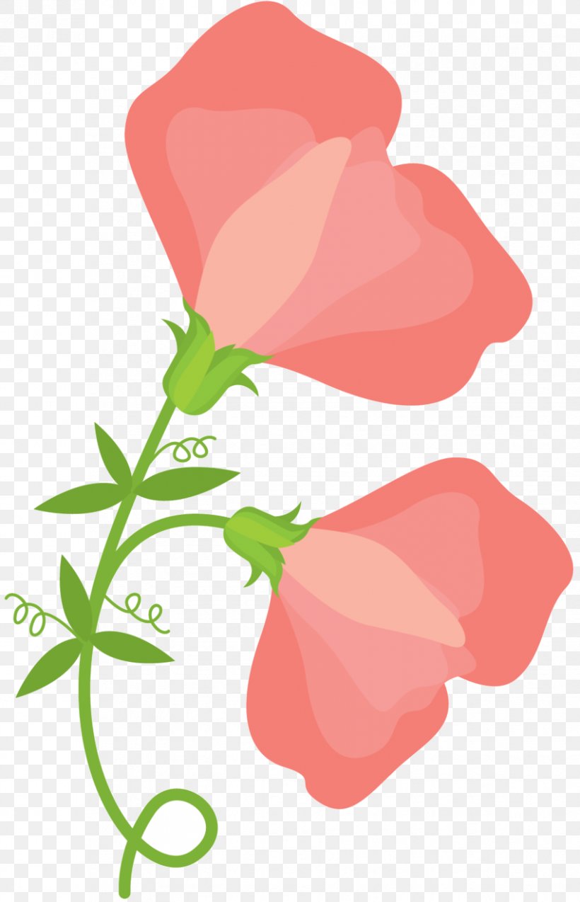 Garden Roses Clip Art Floral Design Plant Stem Petal, PNG, 851x1323px, Garden Roses, Botany, Floral Design, Flower, Flowering Plant Download Free