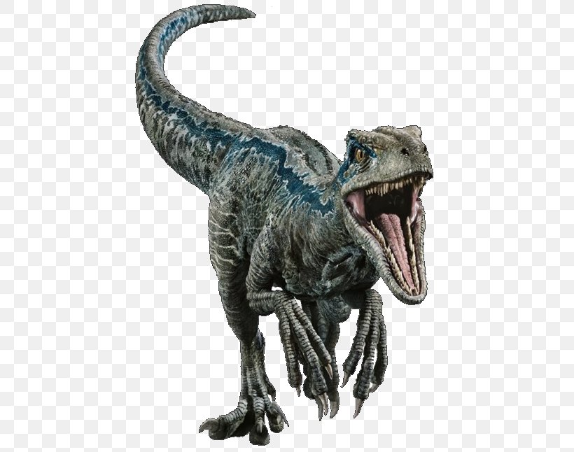 Velociraptor Tyrannosaurus Deinonychus Dinosaur Stegosaurus, PNG, 607x646px, Velociraptor, Animal Figure, Blue, Deinonychus, Dinosaur Download Free