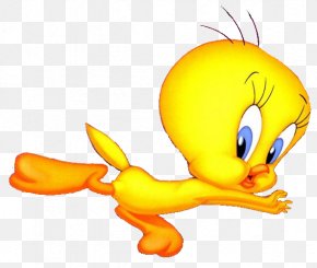 Duck - Duck Tweety Cartoon Clip Art PNG