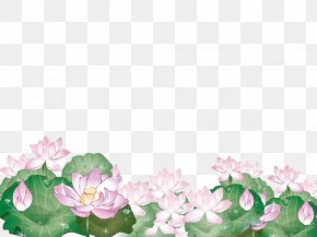 Cartoon Full Board Lotus - Euclidean Vector Splash Clip Art PNG