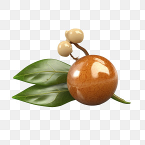 Longan - Brown Berry With Green Leaves PNG