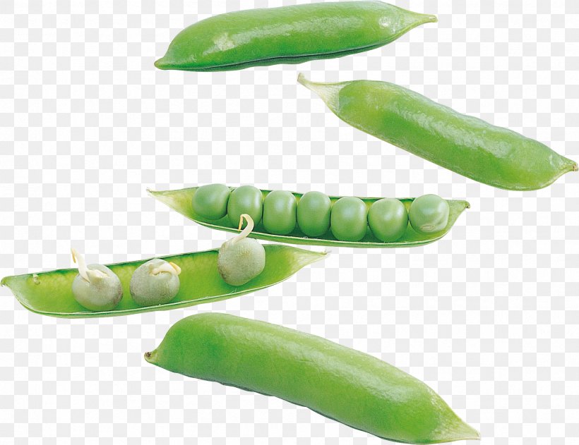 Pea Food Clip Art, PNG, 1789x1378px, Pea, Chili Pepper, Commodity, Common Bean, Food Download Free