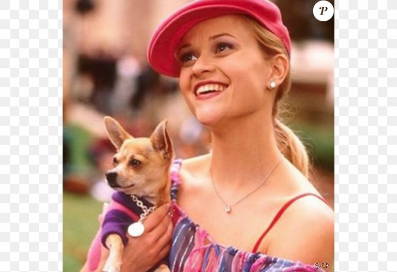 Reese Witherspoon Legally Blonde Elle Woods Death Film, PNG, 950x652px, Reese Witherspoon, Actor, Blond, Clueless, Death Download Free