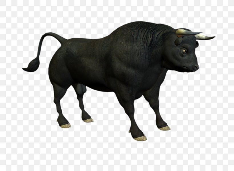 Bull Angus Cattle Clip Art, PNG, 800x600px, Bull, Angus Cattle, Animal Figure, Cattle, Cattle Like Mammal Download Free