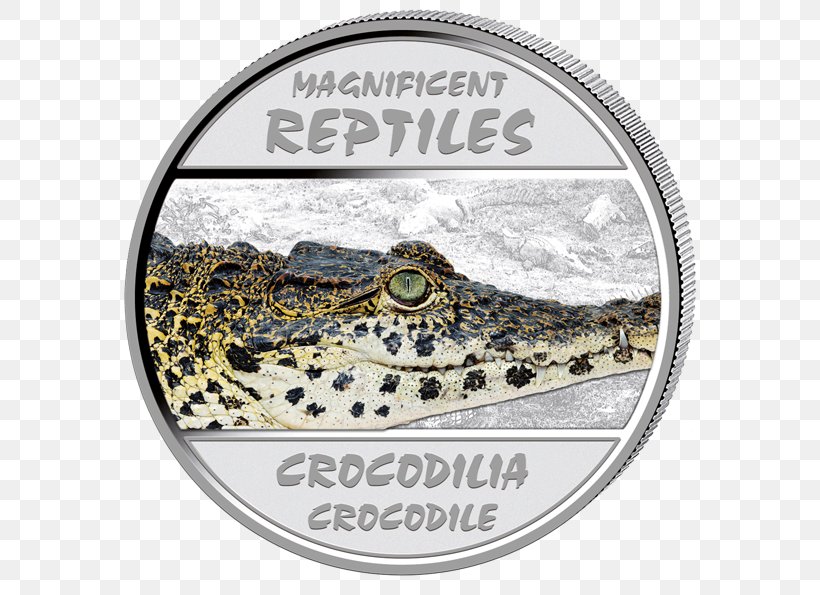 Crocodiles Turtle Silver Coin Cuban Crocodile, PNG, 600x595px, Crocodile, Brand, Bullion, Coin, Color Download Free