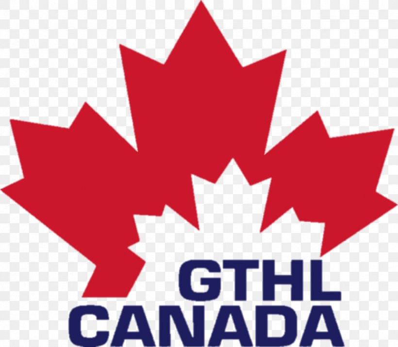 Greater Toronto Hockey League Canlan Ice Sports Etobicoke Hockey Canada Ice Hockey HockeyShot Inc., PNG, 1290x1125px, Greater Toronto Hockey League, Area, Artwork, Canada, Canlan Ice Sports Corp Download Free