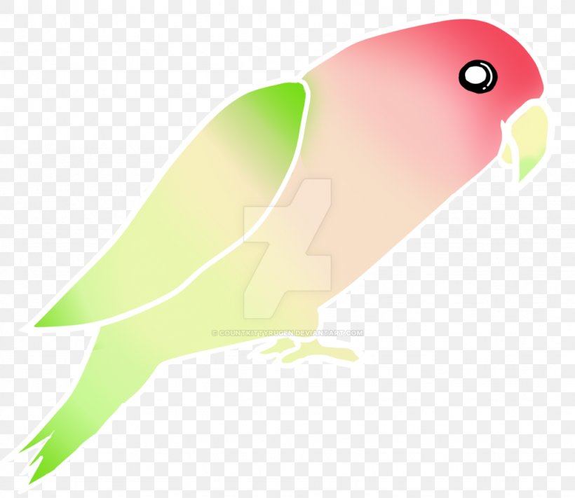 Lovebird Parakeet Feather Beak, PNG, 1024x889px, Lovebird, Beak, Bird, Common Pet Parakeet, Fauna Download Free