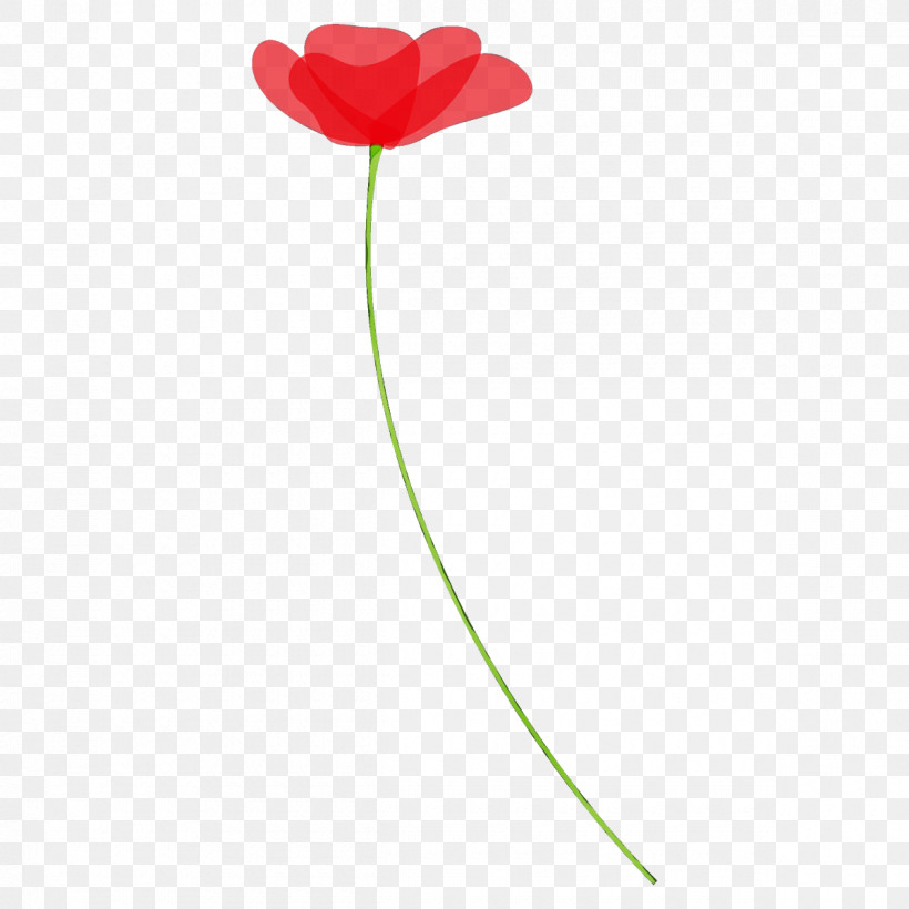 Red Tulip Flower Plant Plant Stem, PNG, 1200x1200px, Poppy Flower, Anthurium, Flower, Leaf, Paint Download Free