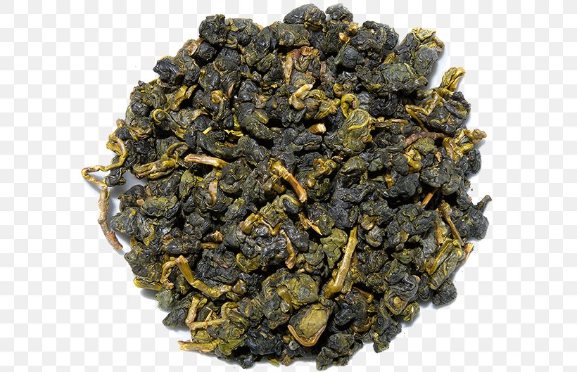 Oolong Nilgiri Tea Gunpowder Tea Earl Grey Tea, PNG, 590x529px, Oolong, Assam Tea, Biluochun, Ceylon Tea, Da Hong Pao Download Free
