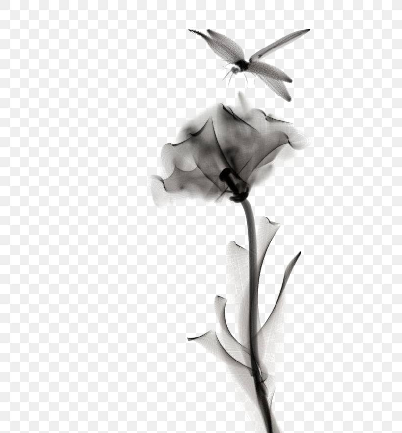 Watercolor Painting Drawing Watercolor: Flowers Dragonfly, PNG, 564x884px, Watercolor Painting, Art, Artist, Black And White, Brush Download Free