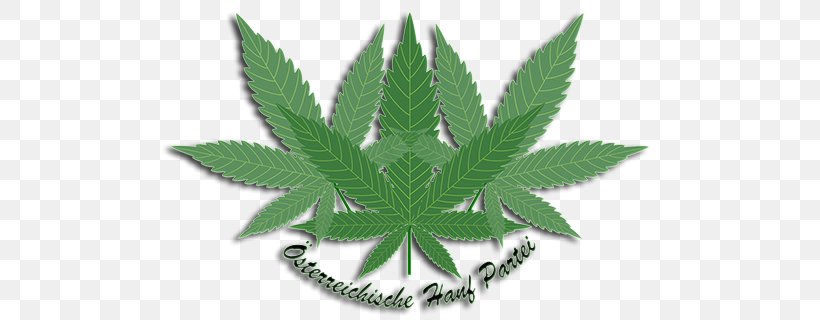 Cannabis Cannabidiol Hemp Article Bag, PNG, 800x320px, Cannabis, Article, Bag, Bearing, Cannabidiol Download Free