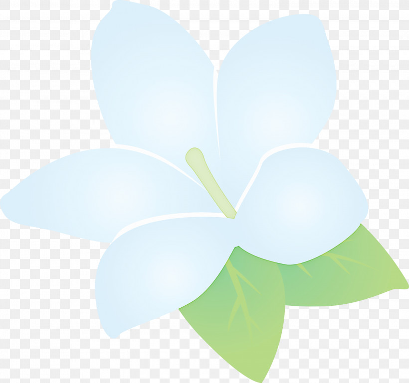 Jasmine Jasmine Flower, PNG, 3000x2814px, Jasmine, Biology, Flora, Flower, Green Download Free