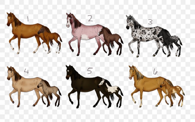 Mustang Foal Mare American Paint Horse Colt, PNG, 900x563px, Mustang, American Paint Horse, Animal Figure, Bay, Buckskin Download Free