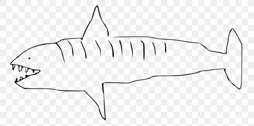 Requiem Shark Drawing Tiger Shark Clip Art, PNG, 1024x508px, Requiem Shark, Area, Artwork, Black And White, Cartilaginous Fish Download Free
