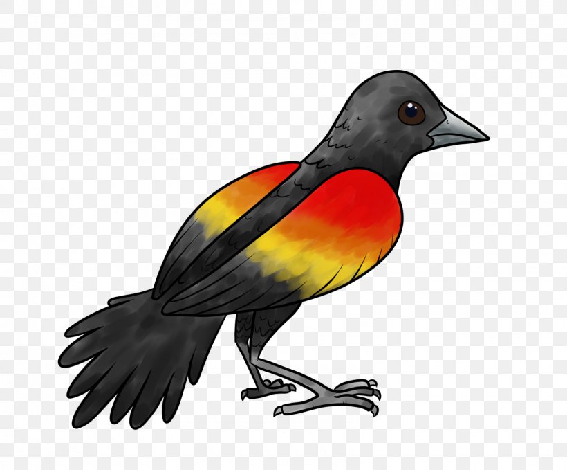 Beak Finch Fauna Feather, PNG, 1600x1325px, Beak, Bird, Fauna, Feather, Finch Download Free