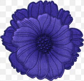 Gerbera Morning Glory - Flowers Background PNG