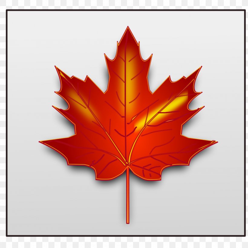 Maple Leaf Clip Art, PNG, 900x900px, Maple Leaf, Autumn Leaf Color, Flag Of Canada, Flowering Plant, Japanese Maple Download Free