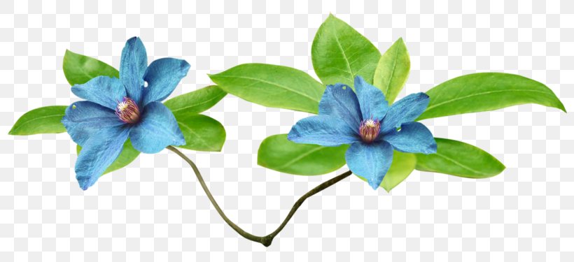 Artificial Flower, PNG, 800x375px, Flower, Artificial Flower, Author, Blue, Color Download Free