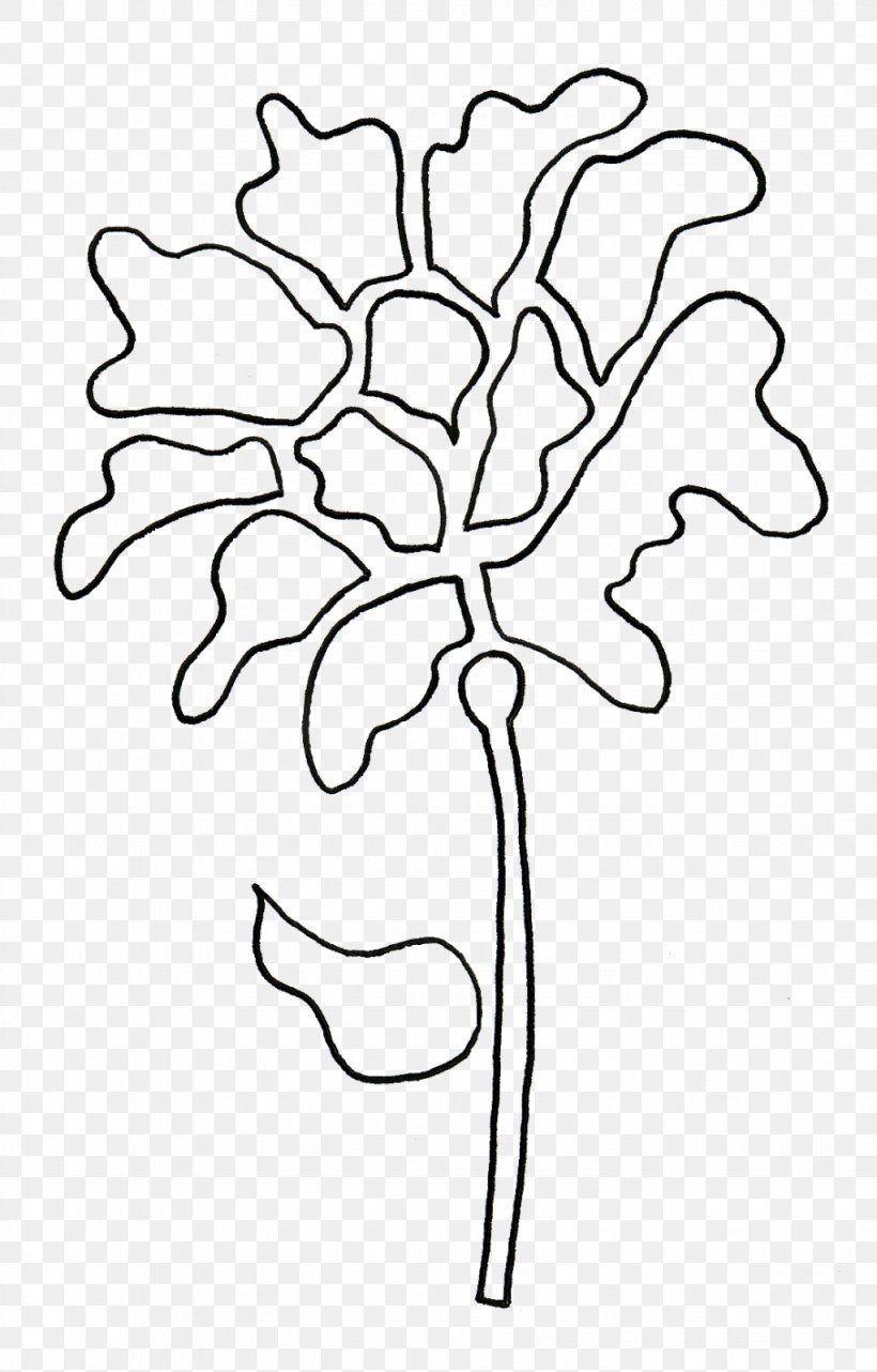 Floral Design Line Art Drawing Cut Flowers, PNG, 1023x1600px, Floral Design, Area, Art, Artwork, Black And White Download Free