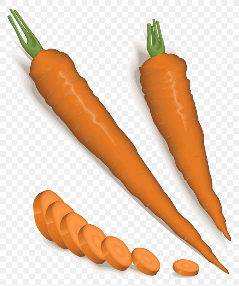 Baby Carrot Vegetable Clip Art, PNG, 2000x2400px, Carrot, Baby Carrot, Beetroot, Bockwurst, Broth Download Free