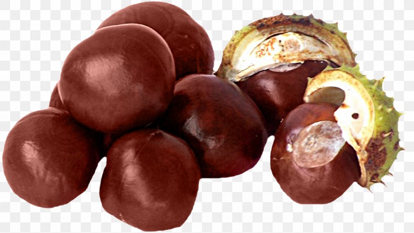 Conkers European Horse-chestnut Fruit Auglis, PNG, 1500x844px, Conkers, Auglis, Bonbon, Chestnut, Chocolate Download Free