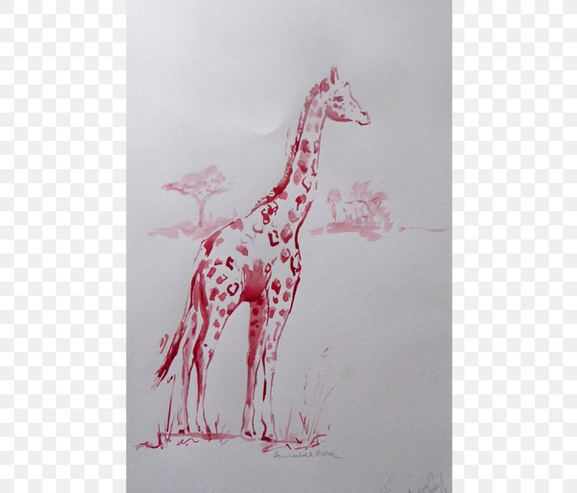 Giraffe Drawing Pink M /m/02csf RTV Pink, PNG, 700x700px, Giraffe, Drawing, Giraffidae, Mammal, Pink Download Free