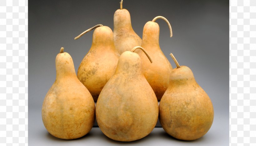 Gourd Calabash Calabaza Pumpkin Cucurbita, PNG, 1400x802px, Gourd, Bottle, Bowl, Calabash, Calabaza Download Free