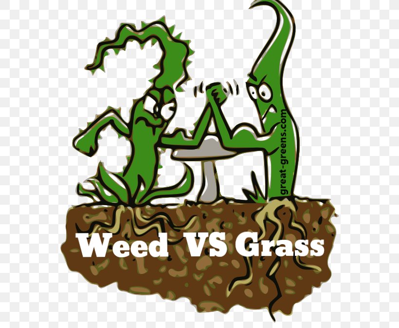 Lawn Aerator Weed Control Herbicide, PNG, 572x673px, Lawn, Artwork, Cannabis, Competition, Fictional Character Download Free